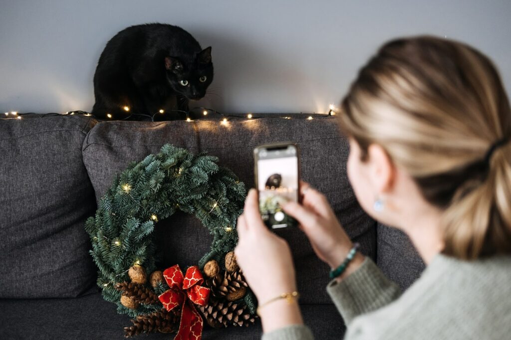 ペット系インフルエンサーとは？